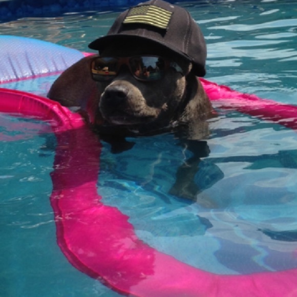 I’M LIVE! ❤️❤️PLEASE LIKE AND SHARE TO BE NOTIFIED WHEN I GO LIVE!!❤️❤️ - Picture 11 of 12